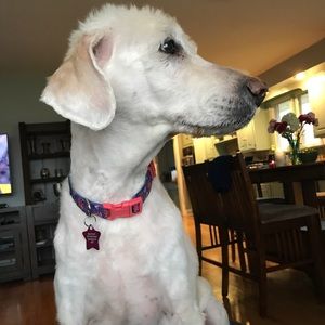 Meet your Posher, Carly